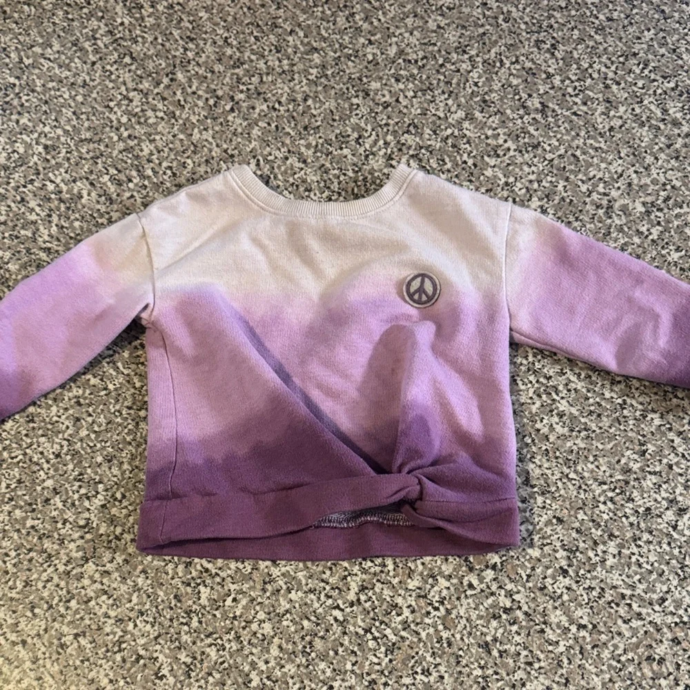 Purple Ombre Sweatshirt and Pants Set